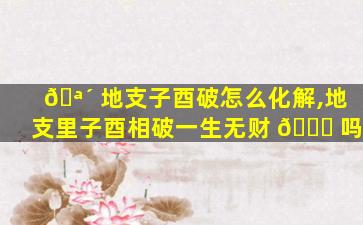 🪴 地支子酉破怎么化解,地支里子酉相破一生无财 🐎 吗